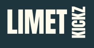 bape bag brand new green 